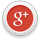 google plus icon